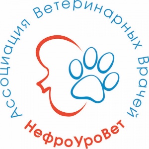 Рекомендации Ассоциации НефроУроВет по диагностике и терапии ХБП у кошек