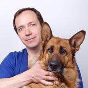 Дисплазия локтевых и тазобедренных суставов