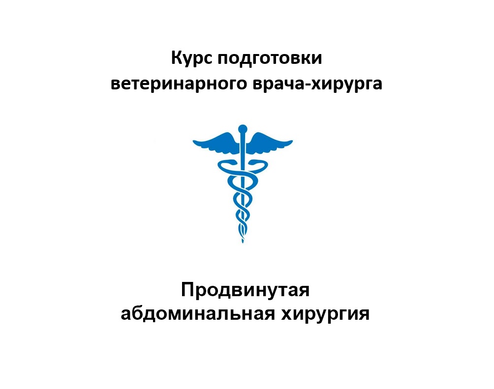 Хирургия печени, желчевыводящих путей и поджелудочной железы