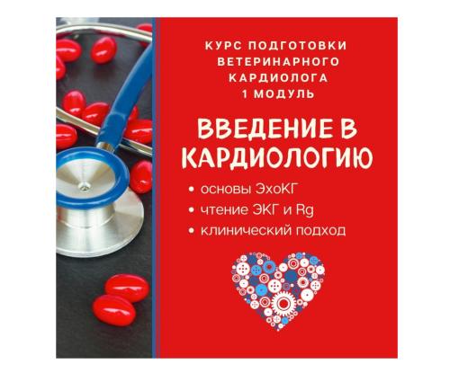 Кардиология собак и кошек: базовый уровень