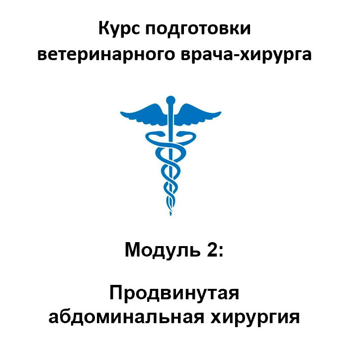 Курс подготовки ветеринарного хирурга. Модуль 2 - абдоминальная хирургия