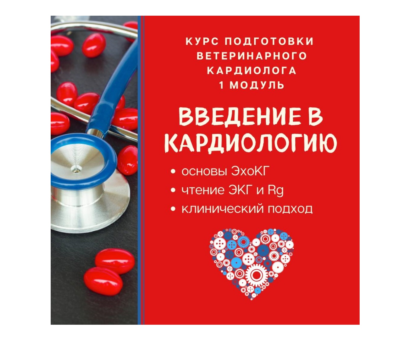 Курс подготовки врача-кардиолога. Модуль 1