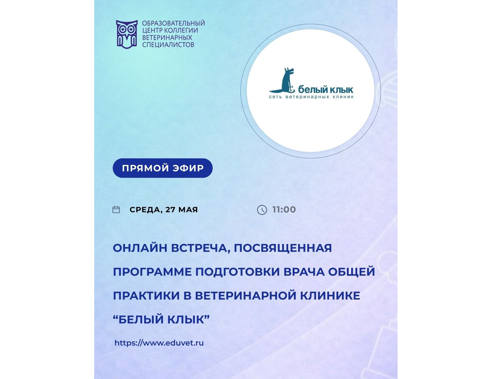 Онлайн-встреча, посвященная программе подготовки врача общей практики в ветеринарной клинике «Белый Клык»