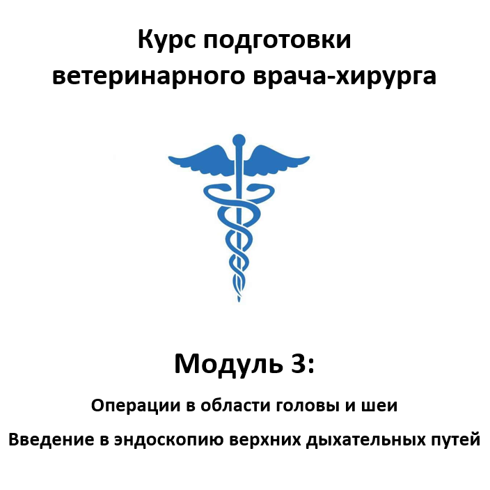 Курс подготовки ветеринарного хирурга. Модуль 3 - Операции в области головы и шеи. Введение в эндоскопию верхних дыхательных путей