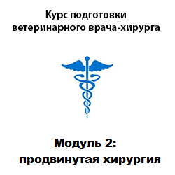 Курс подготовки ветеринарного хирурга. Модуль 2 - хирургия желудка, печени, панкреодуоденальной зоны, мочевыделительной системы и промежности