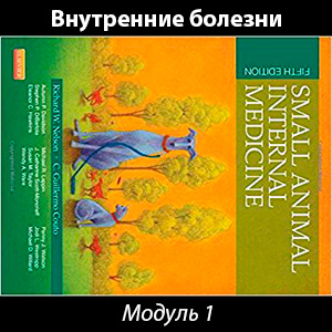 Внутренние болезни. Модуль 1: анамнез, осмотр, рутинные тесты и диагностический план