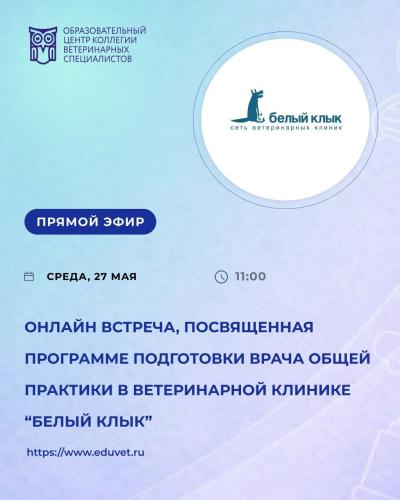 Онлайн-встреча, посвященная программе подготовки врача общей практики в ветеринарной клинике «Белый Клык»