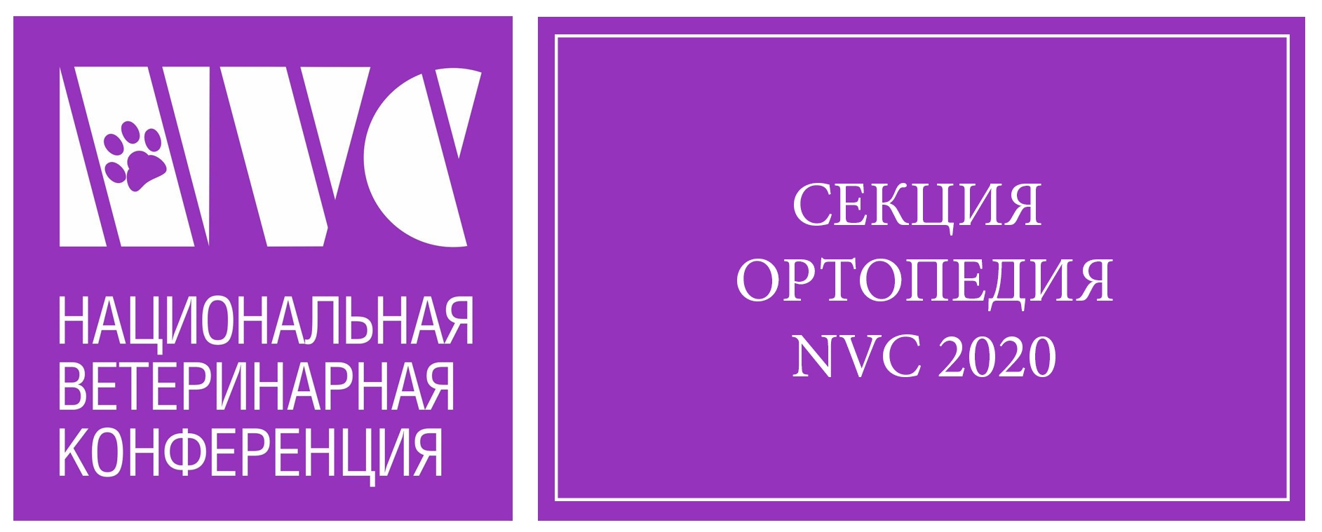 NVC Universe Секция Ортопедия