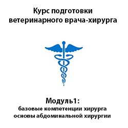 Курс подготовки ветеринарного хирурга. Модуль 1 - Базовые принципы в хирургии