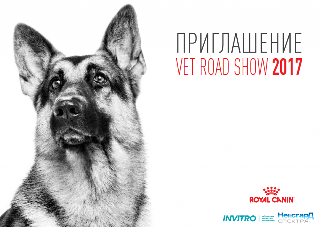 Дерматология. VET ROAD SHOW 2017