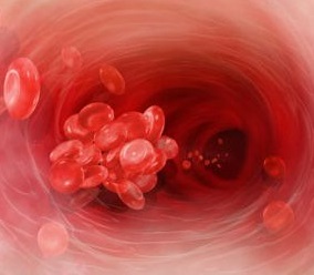Внутренние болезни. Модуль 5: Болезни системы крови - анемии, тромбоцитопении и коагулопатии.