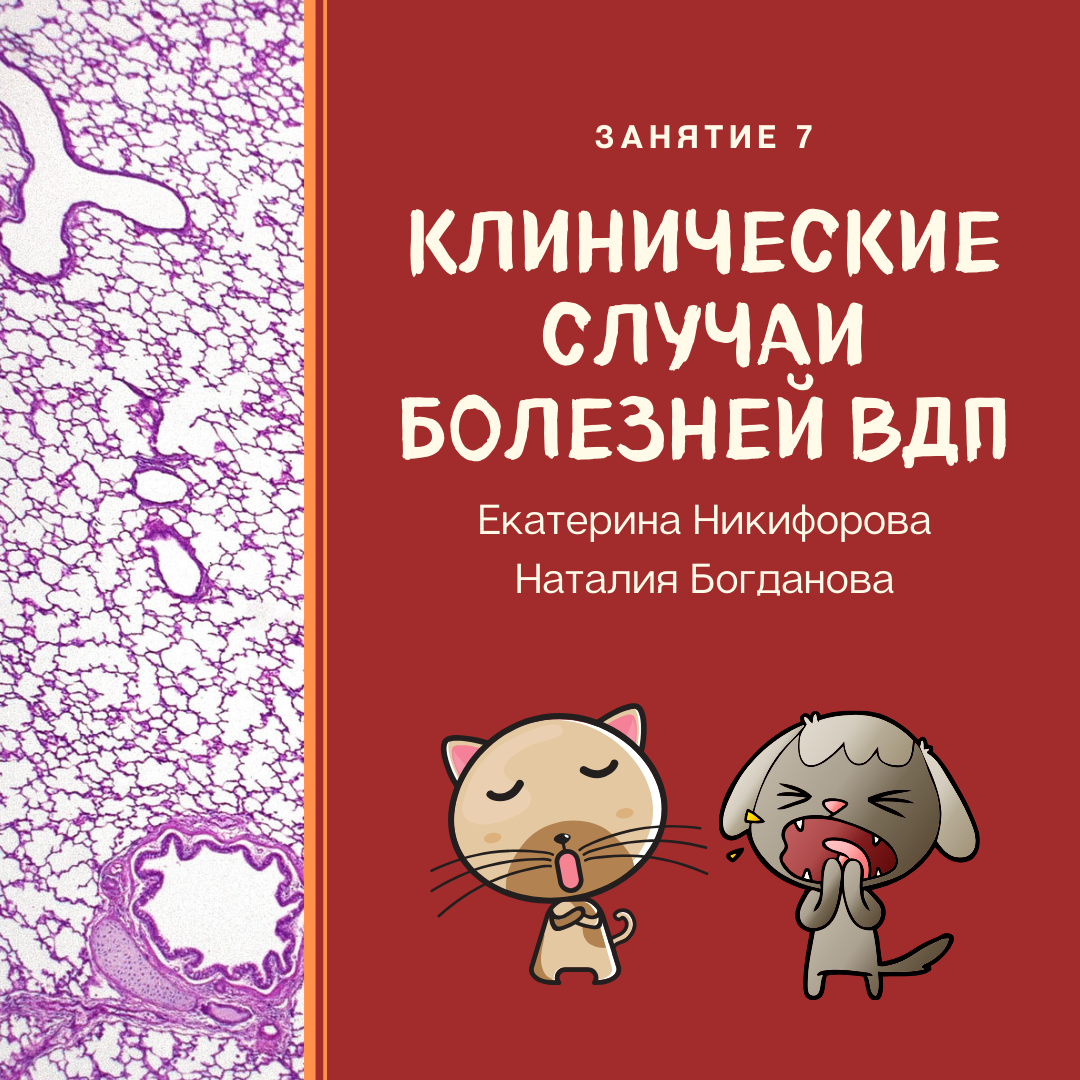 Занятие 7. Клинические случаи болезней верхних дыхательных путей