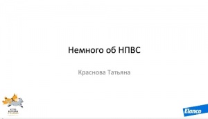 Немного об НПВС