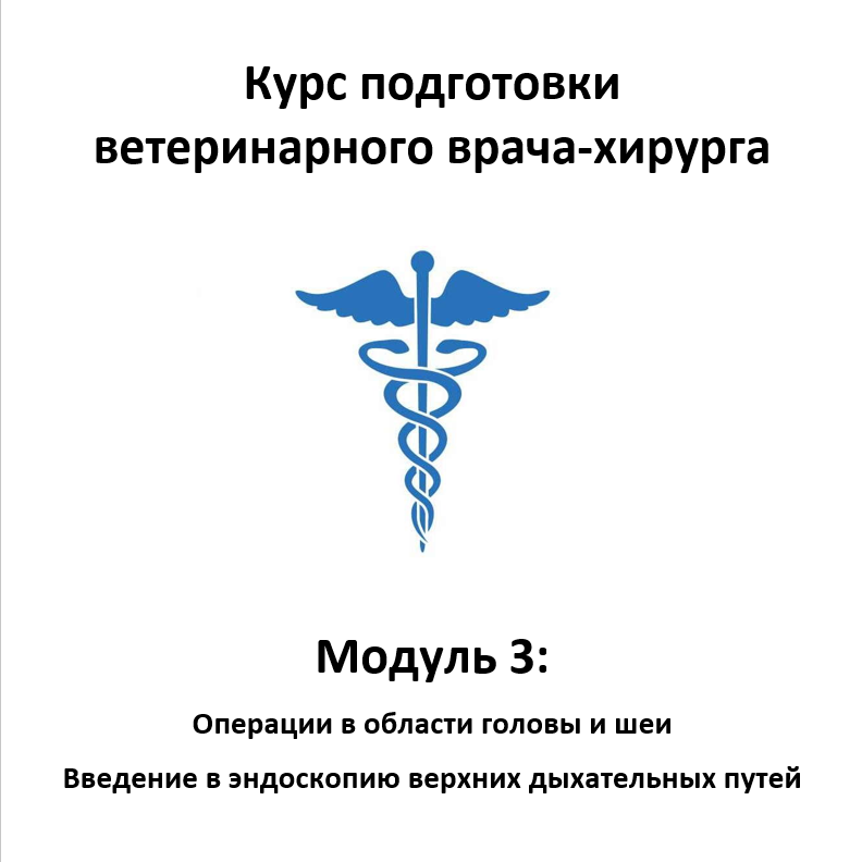 Курс подготовки ветеринарного хирурга. Модуль 3 - Операции в области головы и шеи