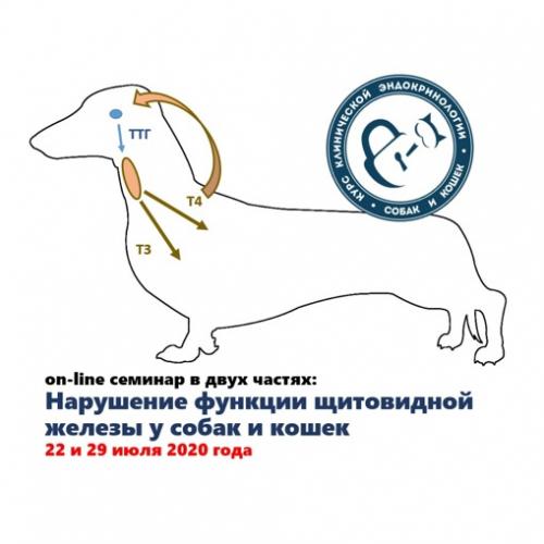 Онлайн-семинар "Нарушение функции щитовидной железы у собак и кошек"
