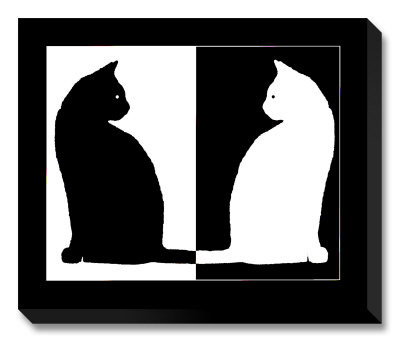 Мастер-класс  «Самые черно-белые кошки с Клавдией Налетовой».