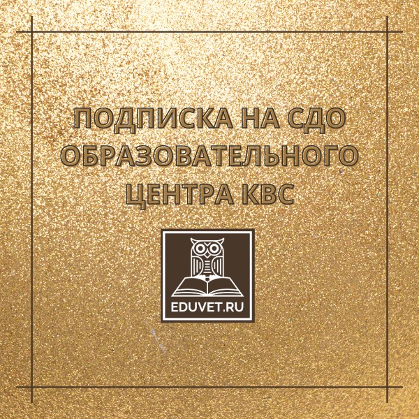 Подписка на СДО (ежемесячный платеж)