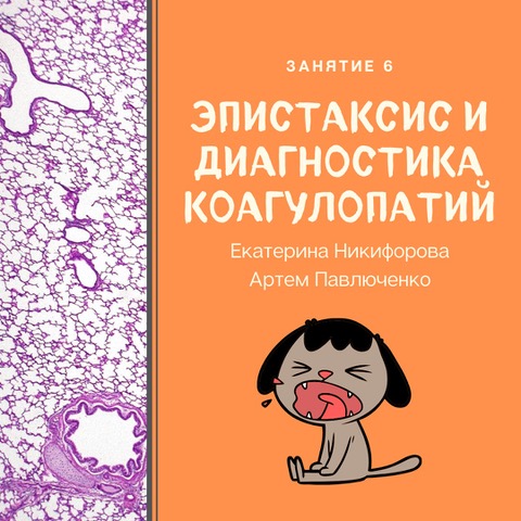 Занятие 6. Эпистаксис и диагностика коагулопатий