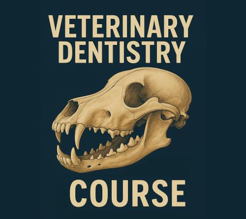 Базовый курс подготовки ветеринарного врача-стоматолога