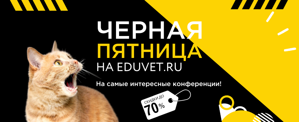 ЧЕРНАЯ ПЯТНИЦА 2023