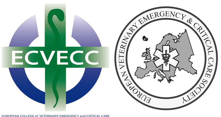 Обзор новостей с EVECC Congress 2018