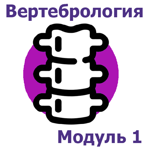 Курс ортопедии и травматологии. Болезни позвоночного столба и спинного мозга - модуль 1