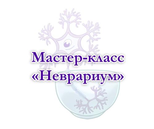 Очный мастер-класс «Неврариум»