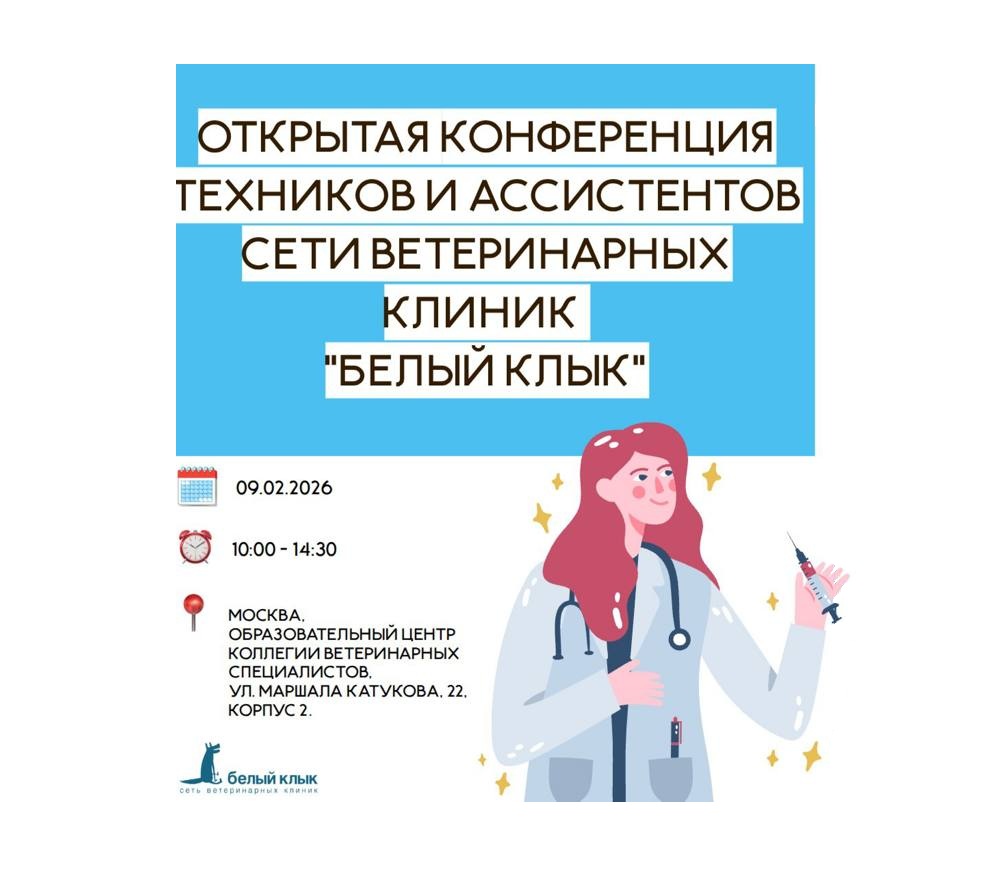 Открытая конференция техников и ассистентов сети клиник "Белый Клык"