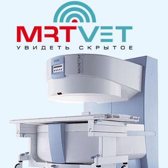 Онлайн-конференция отделения МРТ клиники "Белый Клык"