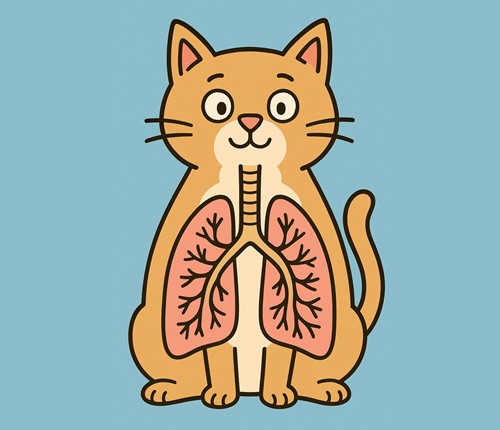 Онлайн курс «Пульмонология для всех» Онлайн курс «Пульмонология для всех»