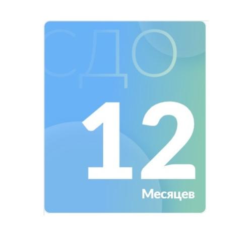 Годовая подписка на СДО для физлиц