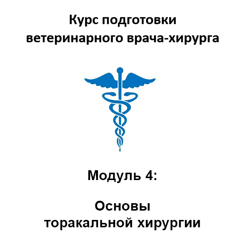 Курс подготовки ветеринарного хирурга. Модуль 4 - Основы торакальной хирургии