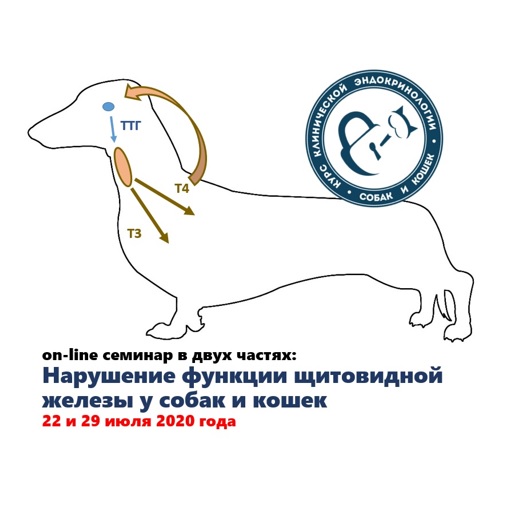 Онлайн-семинар "Нарушение функции щитовидной железы у собак и кошек"