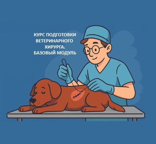 Курс подготовки ветеринарного хирурга: базовый модуль